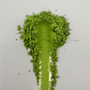 Uji Superior Matcha - Yabukita